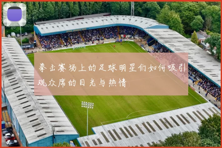拳击赛场上的足球明星们如何吸引观众席的目光与热情