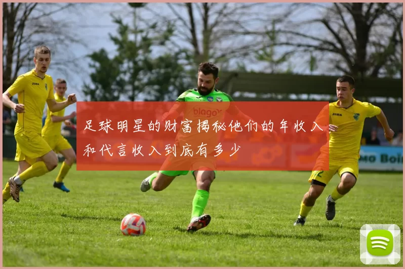 足球明星的财富揭秘他们的年收入和代言收入到底有多少