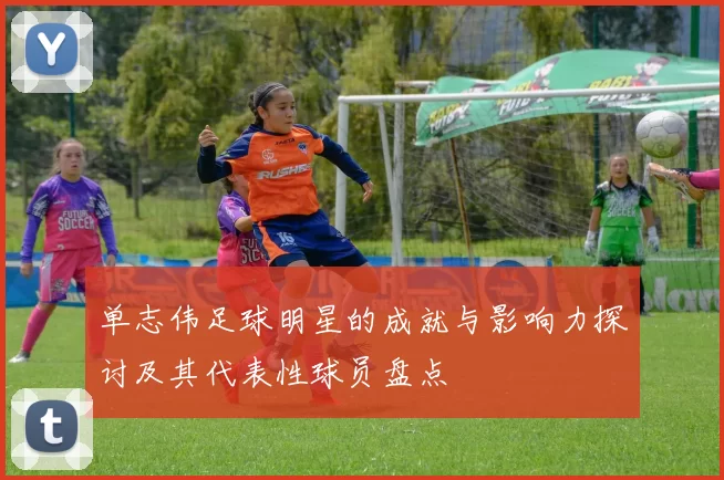 单志伟足球明星的成就与影响力探讨及其代表性球员盘点