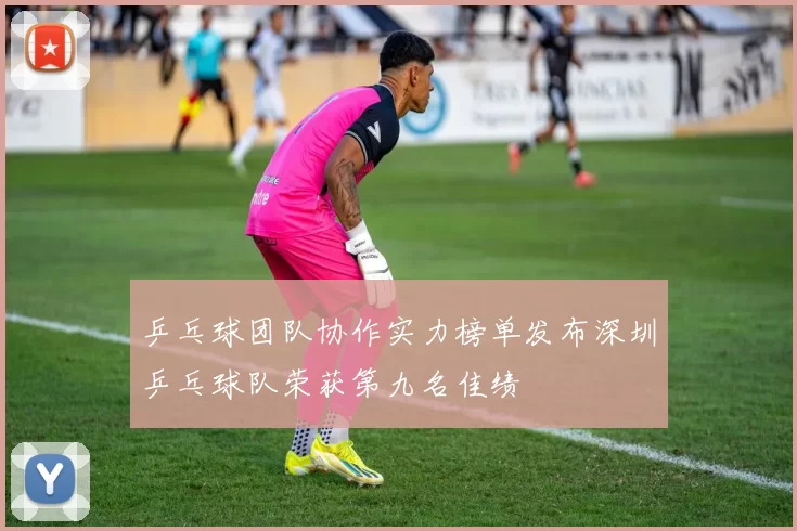 乒乓球团队协作实力榜单发布深圳乒乓球队荣获第九名佳绩