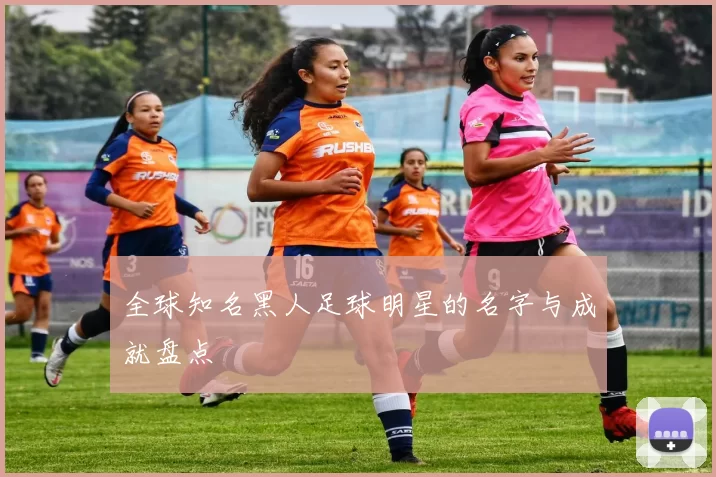 全球知名黑人足球明星的名字与成就盘点