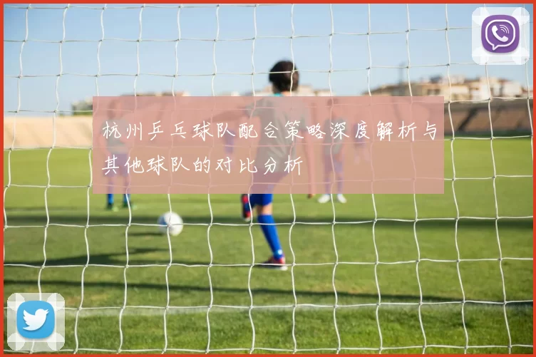 杭州乒乓球队配合策略深度解析与其他球队的对比分析