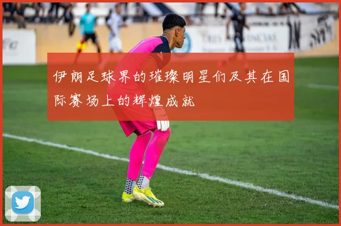 伊朗足球界的璀璨明星们及其在国际赛场上的辉煌成就