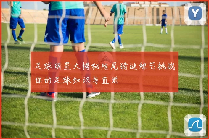足球明星大揭秘结尾猜谜综艺挑战你的足球知识与直觉